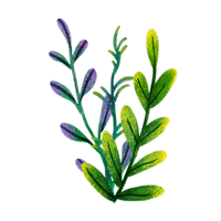 Resume Logo 1(Alpha).gif