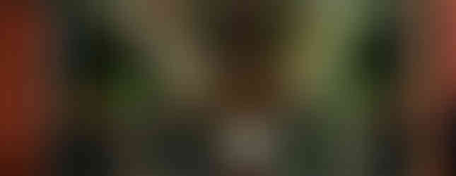 Op de kist ligt een rouwboeket van zijde bloemen, dit is herschikt tot een mooi herinneringsboeket.