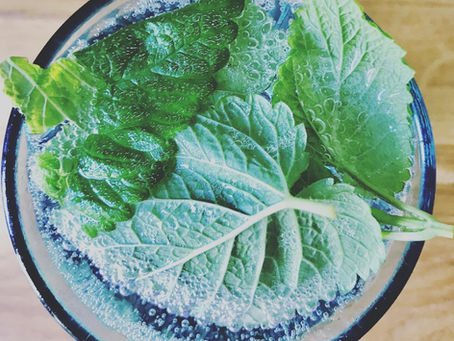 Calming and Refreshing Lemon Balm