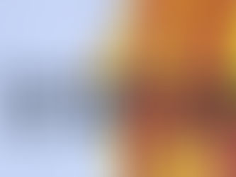 La flamme du Canigó, plus vivante que jamais !