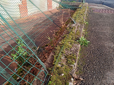 Réparation de grillage et mur de clôture: 