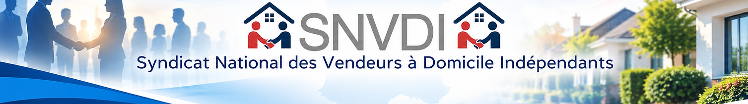 Bannière SNVDI aux couleurs françaises.png