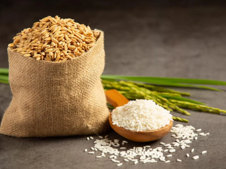 India is set to dominate the global rice market in 2025-26, exporting 24 million tonnes and capturing 40% of the market. Favorable monsoon forecasts and record-high production of 121 million tonnes for 2024-25 support this outlook.