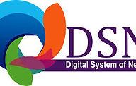 DSN logo.jpeg