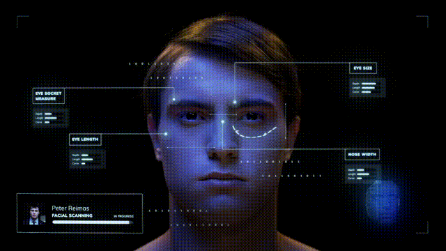 TM5 video.gif
