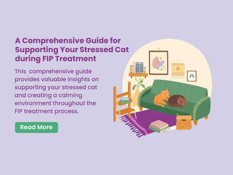 Managing Stress in FIP Cats: A Comprehensive Guide to Supporting Your Stressed Cat
