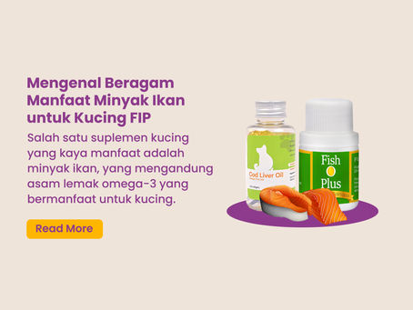 Mengenal Manfaat Minyak Ikan (Fish Oil) untuk Kucing FIP