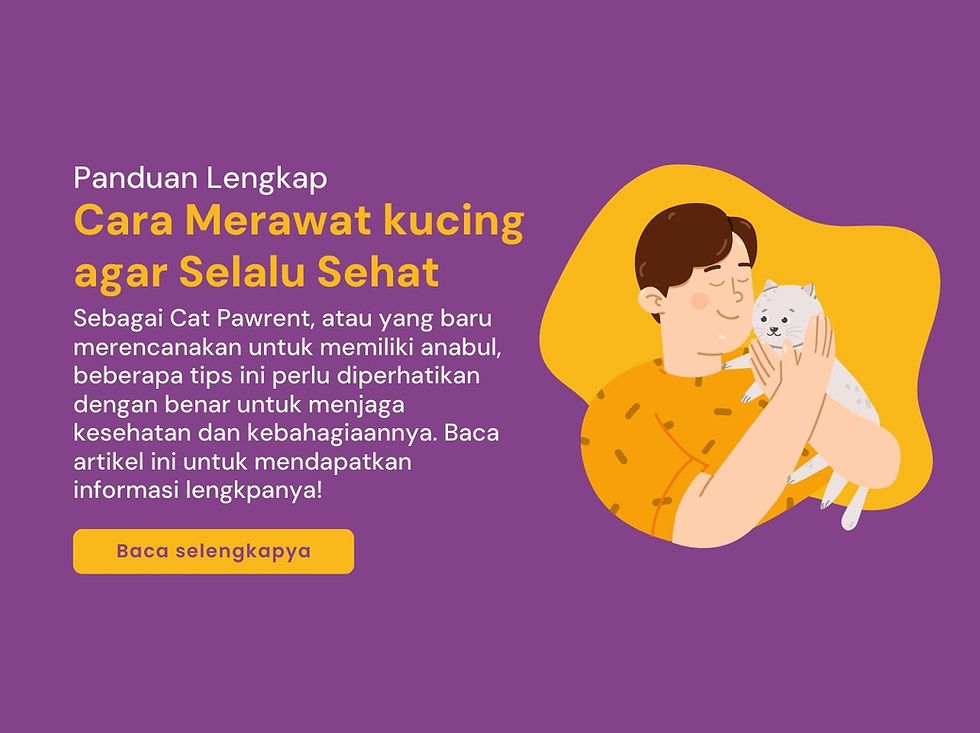 cara merawat kucing