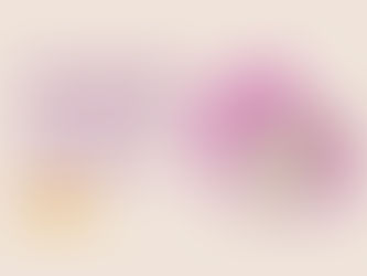 Cara Menghilangkan Kutu Kucing Selama Pengobatan FIP