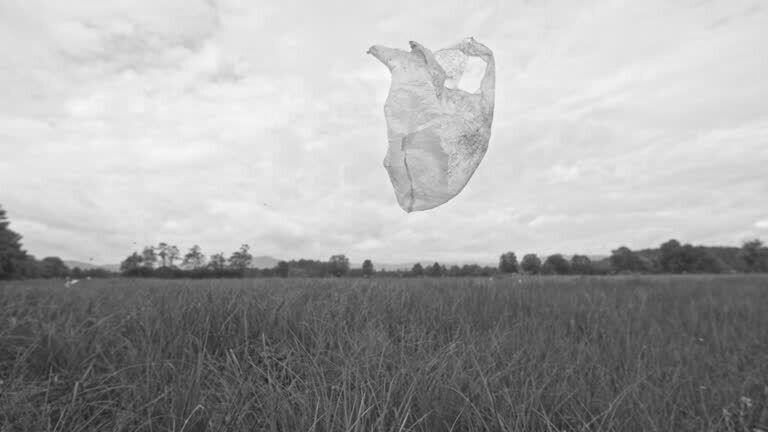 flying plastic bag