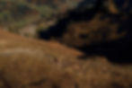 DJI_0125.jpg