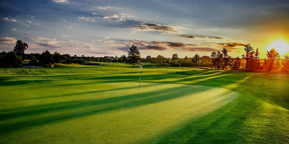 pole golfowe Rosa rano