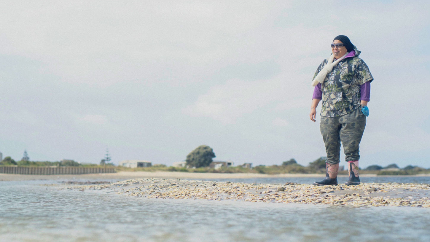 Oaia Road Studios "Saving Our Wai"