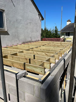 IMG-1123 joists