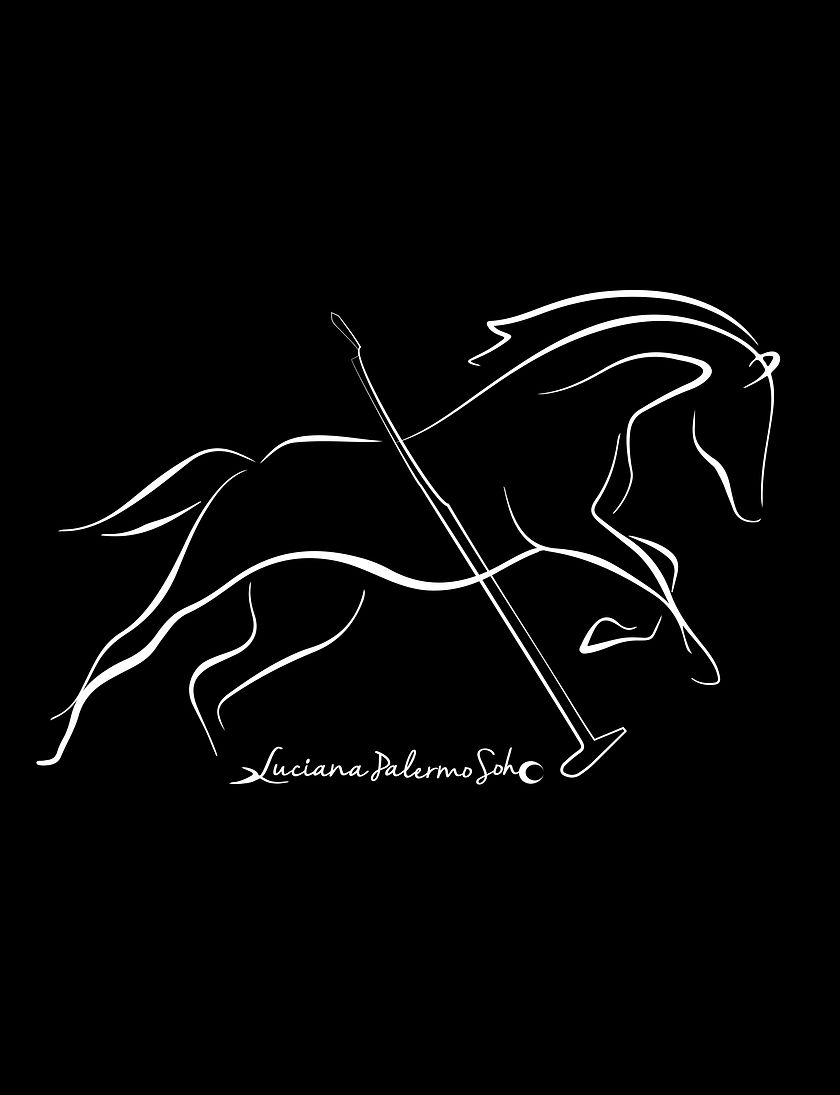 caballo polo con cortina.jpg