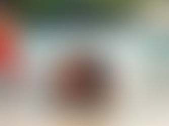 החופשה המושלמת עם ילדים – רשת כפרי הנופש סנטר פארקס CENTER PARCS