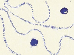 Naar de bodem duiken om op een bergtop te eindigen