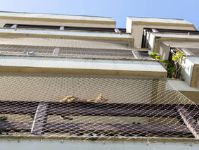 REDES DE PROTEÇÃO BH