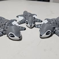 Sugar Glider