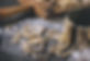 BottegheriaMagazine_PiciAglione.jpg