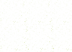 10 (2).png