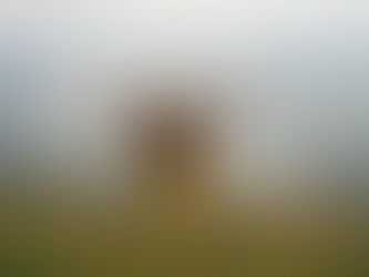 The Fascia Factor: What Most People Don’t Know About Massage