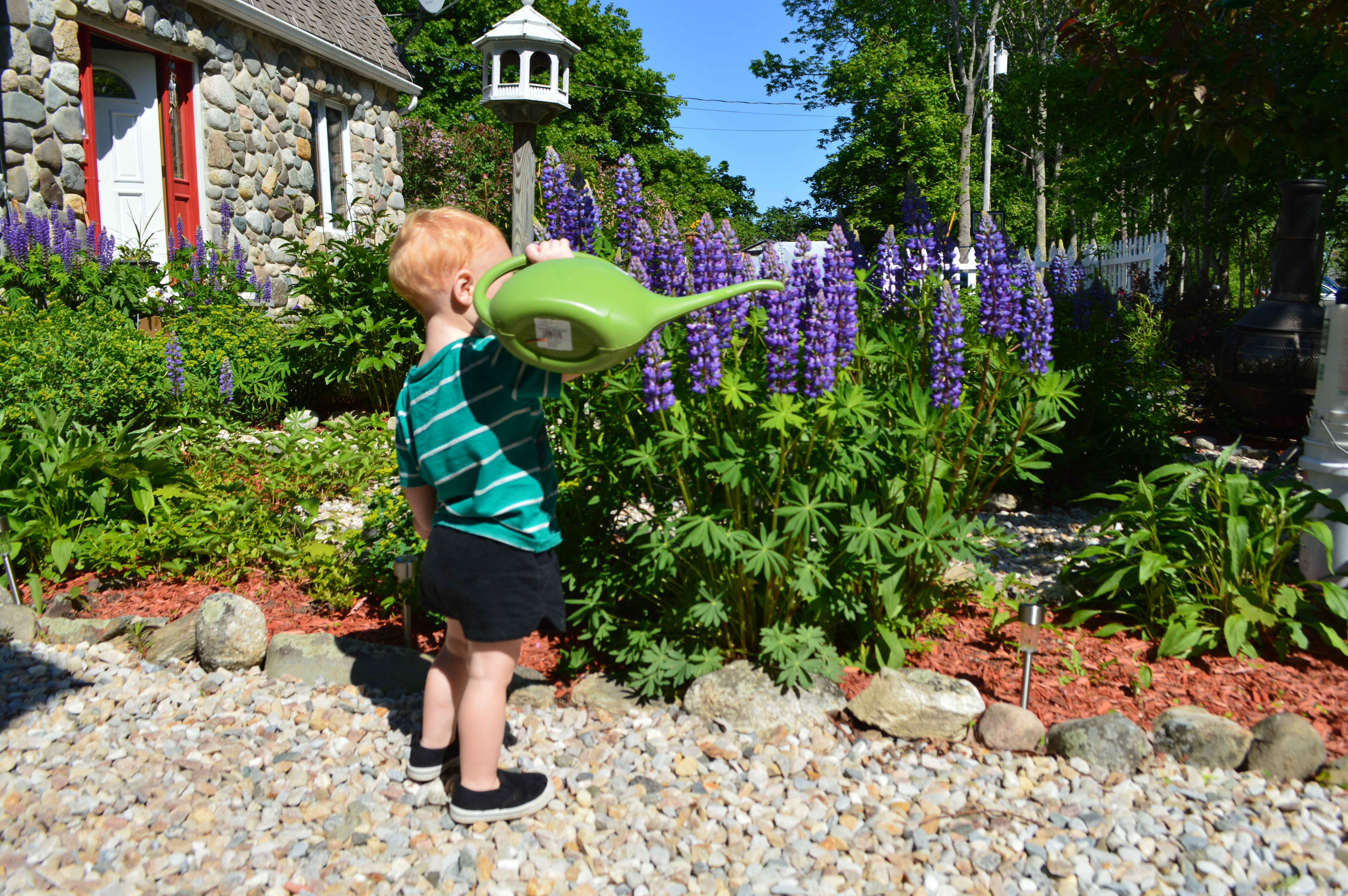 Heathwood Garden Helper