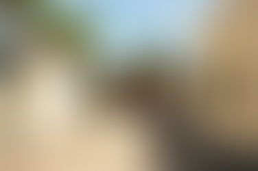 ¿En Progreso es un reto tener un techo propio? Lila Frías expone la situación del municipio