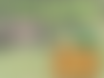 Rappel: Sortie à la ferme de Ouezy, mercredi pour les 3/6 ans et jeudi pour les 7/11 ans. Prévoir une gourde, un sac à dos et des chaussures de rechange!