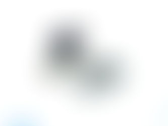 ELECTRO-MECHANICAL PRESSURE SWITCH - 0880326000000000