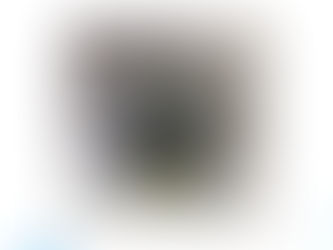 HONEYWELL DCS AUTOMATION MODULE-8C-PCNT01—CC-PAIH01