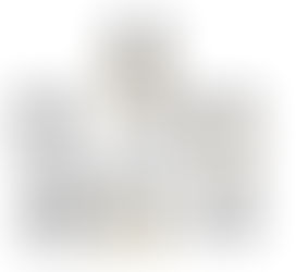 Parker Solenoid Valve