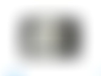 DENATONIUM SACCHARIDE (DS)