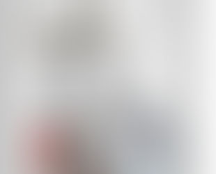 STAINLESS STEEL PRESSURE REGULATOR