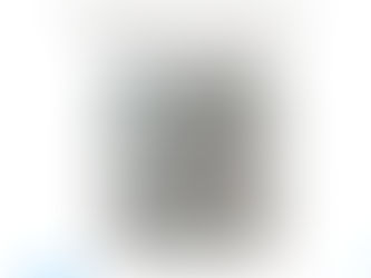 Maha Automation – Leading Supplier of  inline Vortex Flow Meter with compensation BX-6010-G