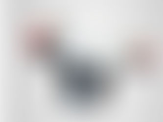 STAINLESS STEEL TEE FILTER