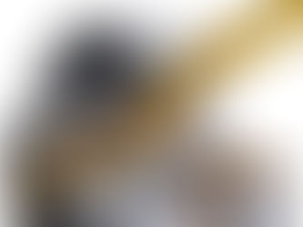 INDUSTRIAL GEARBOX OILS