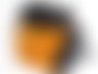 PVM 50 - Series Single Vane Pumps