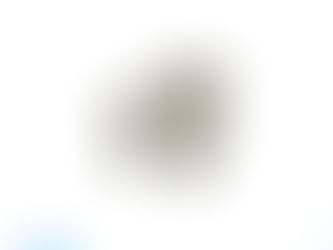 MICRO MIST SEPARATOR AMD