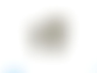 MICRO MIST SEPARATOR WITH PRE-FILTER AMH