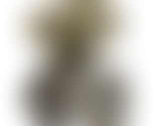 Motorized Ball Valve