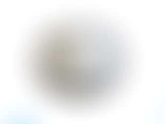 SULPHAMIC ACID POWDER