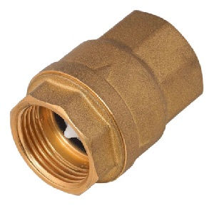 SPRING CHECK VALVE