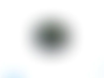 ENDRESS HAUSER FLOWMETER DISPLAY 50104745