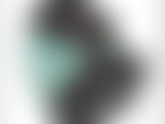 PVR1T Series Single Vane Pumps