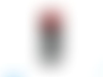 D4NS-1AF SAFETY-DOOR SWITCH