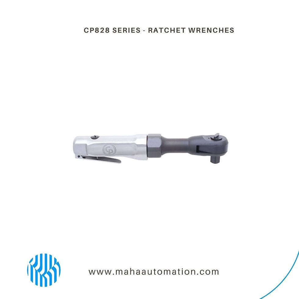 CP828 SERIES - RATCHET WRENCHES
