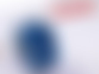 WAFER TYPE FLANGE END BALL VALVE