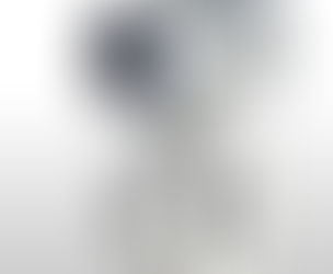 Pneumatic Rotary Actuator Operated Wafer Type Ball Valve