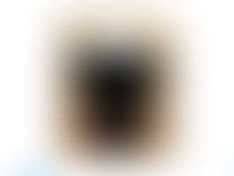 ETHYL-5-IODOVALERATE